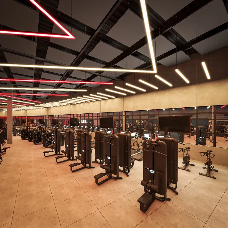 gymflix-academia-area-cardio-esteiras-spinning