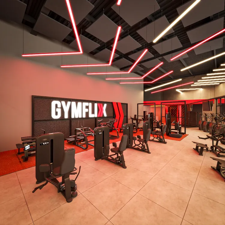 gymflix-academia-area-musculacao-equipamentos