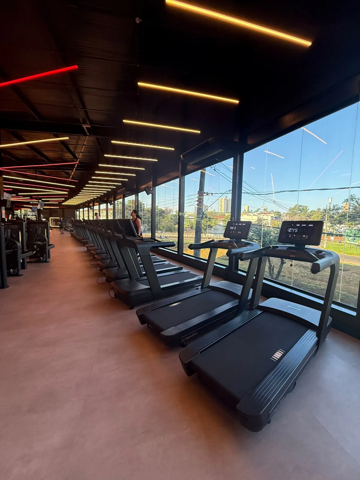 gymflix-area-cardio-esteiras