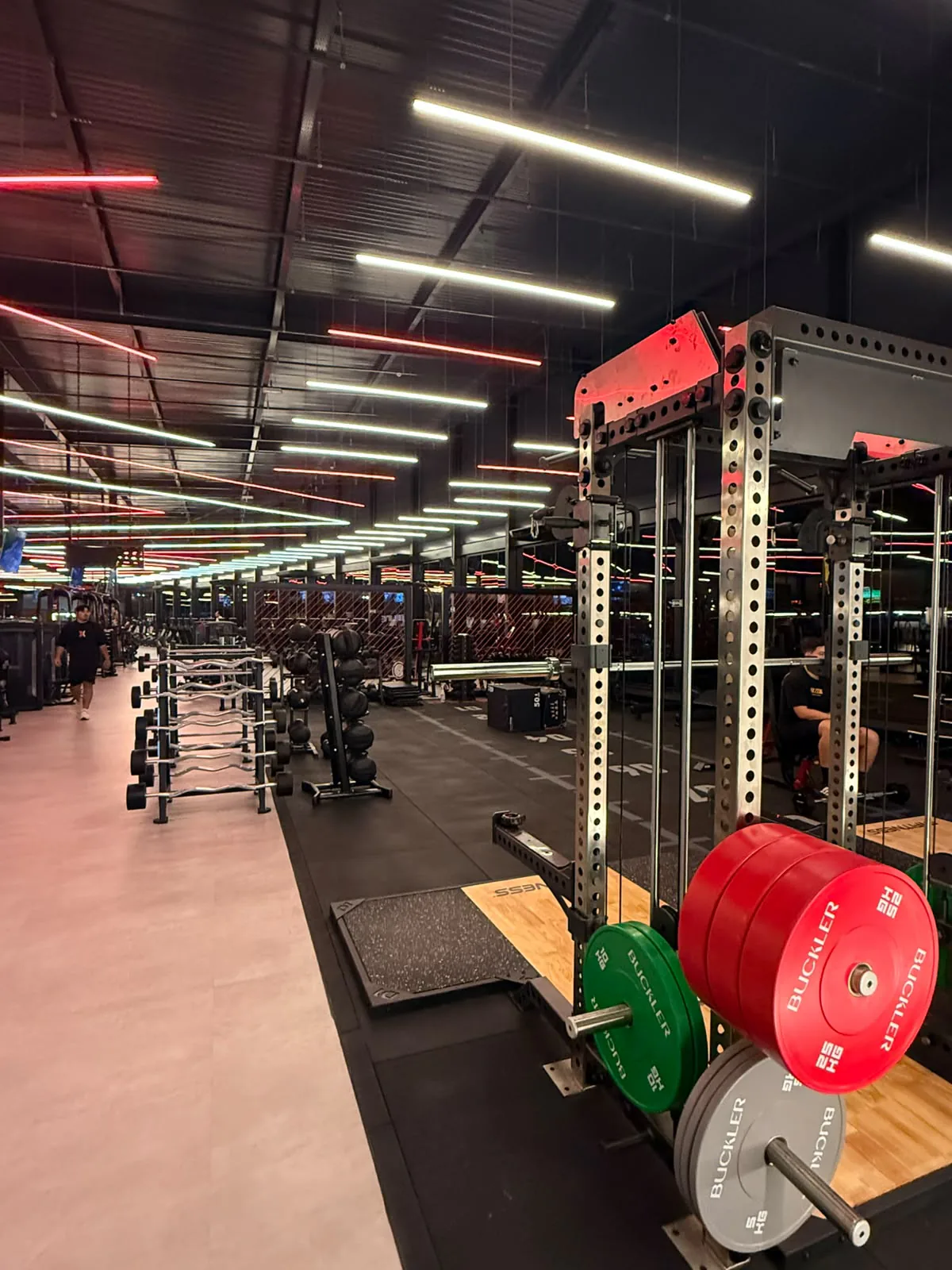 gymflix-area-peso-livre-racks